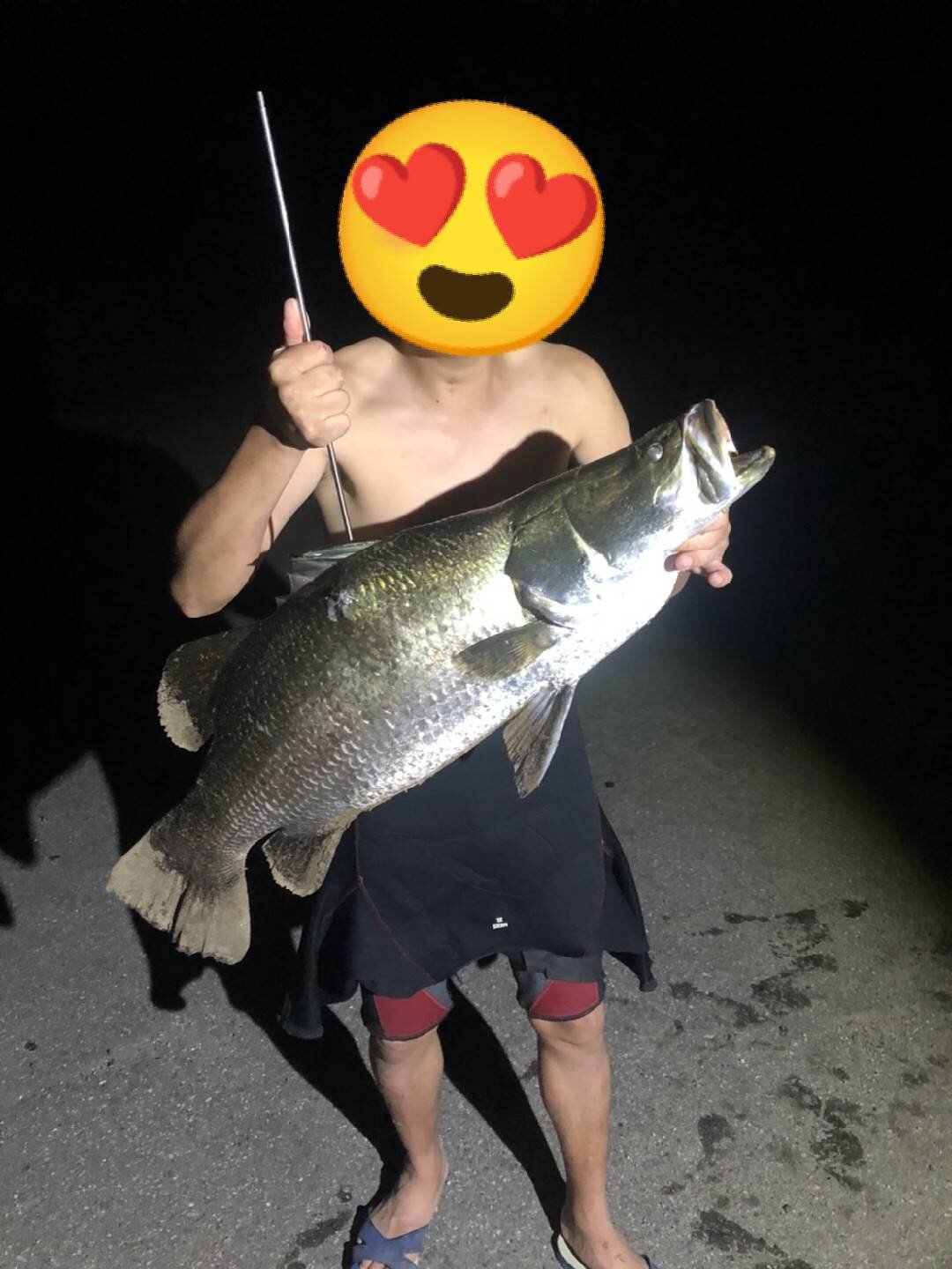 PACIFIC 飛魚碳纖維魚叉組 商品圖 5